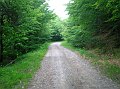 rovegno 06-06 030
